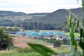 MT-Energie: Biogasspezialist ist insolvent