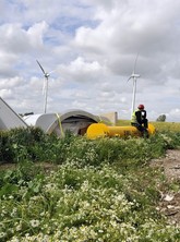 Deutsche Windindustrie: mit Naturschutz übereinkommen