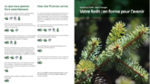 Task Force Forêt + Bois + Energie : Nouvelle feuille d’information « Votre forêt : en forme pour l‘avenir »