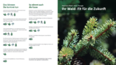 Task Force Wald+Holz+Energie: Neuer Flyer «Ihr Wald: Fit für die Zukunft»