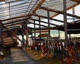 Photovoltaik: Solarstrom frisch ab Bauernhofdach