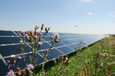 BSW-Solar: Solarparks weniger stark deckeln