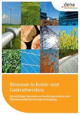 dena: Für mehr Biomasse in Kohle- und Gaskraftwerken