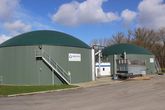 Weltec Biopower: Baut 500 kW Biogasanlage für Gemüseproduzenten