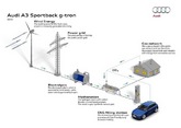Empa: Dank Power-to-Gas das ganze Jahr mit Sommerenergie fahren