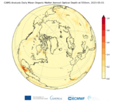 Copernicus: Waldbrände in Kanada verursachten 23% von weltweiten durch Waldbrände 2023 erzeugten Kohlenstoffemissionen