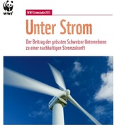 WWF: Nur 8 der grössten Schweizer Unternehmen sind fit für die Stromzukunft