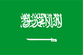 Saudi Arabien: Plant Ausbau der Erneuerbaren für den Stromexport